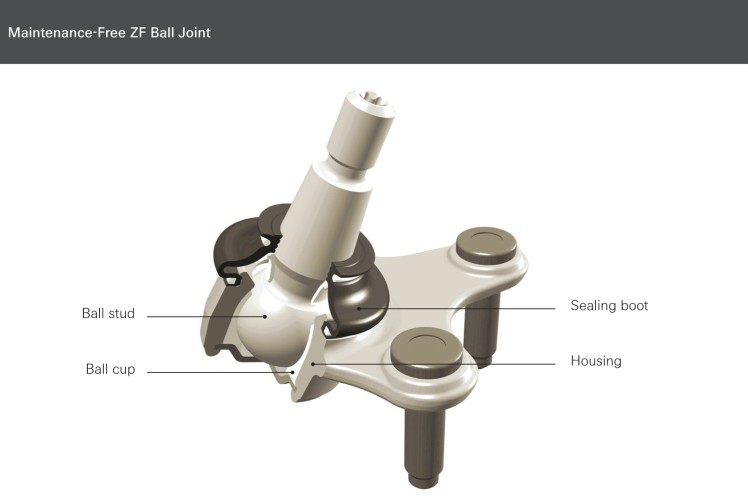 Graphic Ball Joints